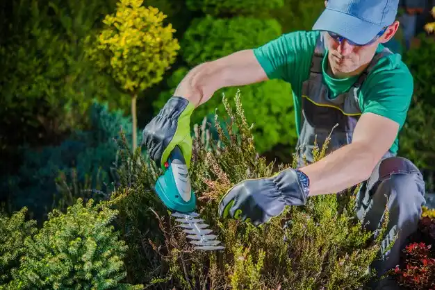 landscaping services Many